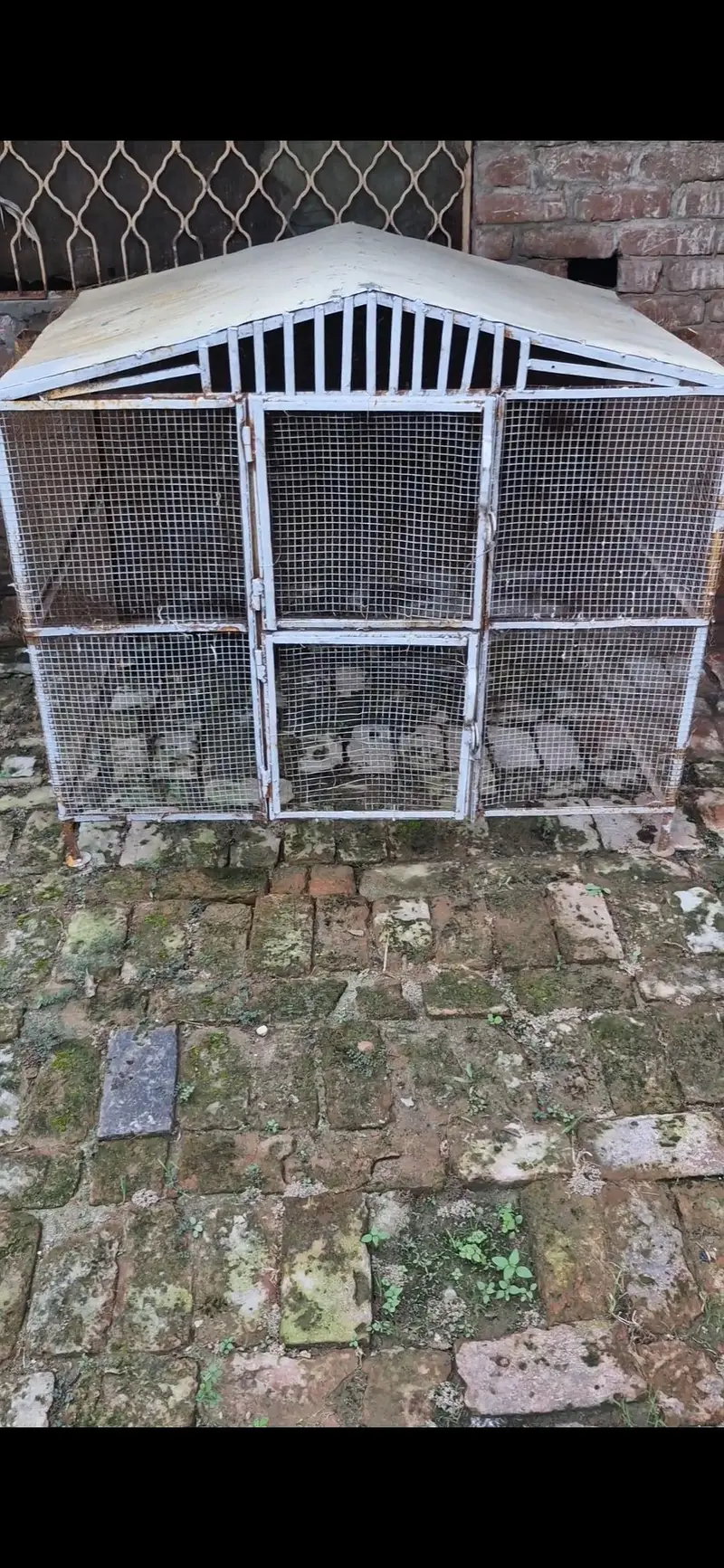 Cage for sale