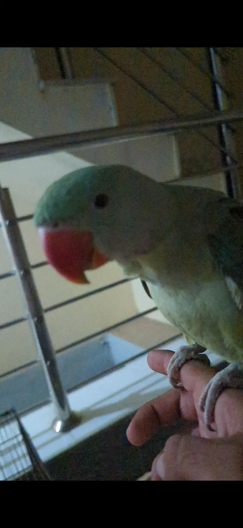 Raw male baby — photo 3