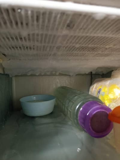 Vertical Freezer