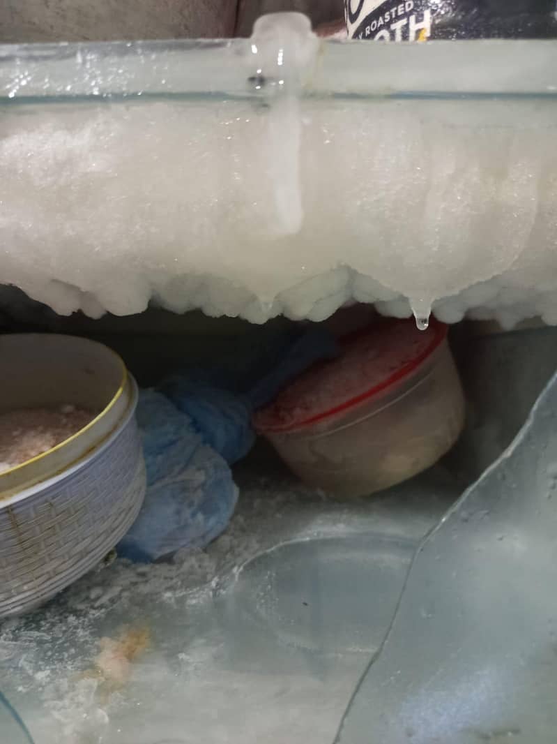 Vertical Freezer 1