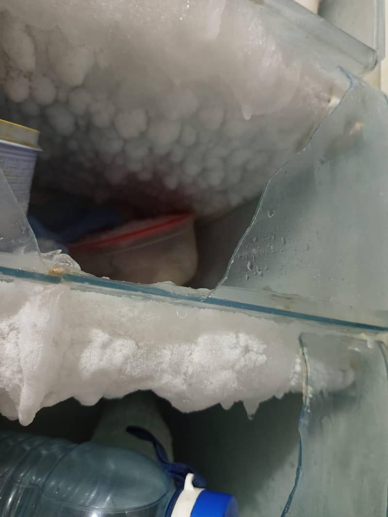 Vertical Freezer 2