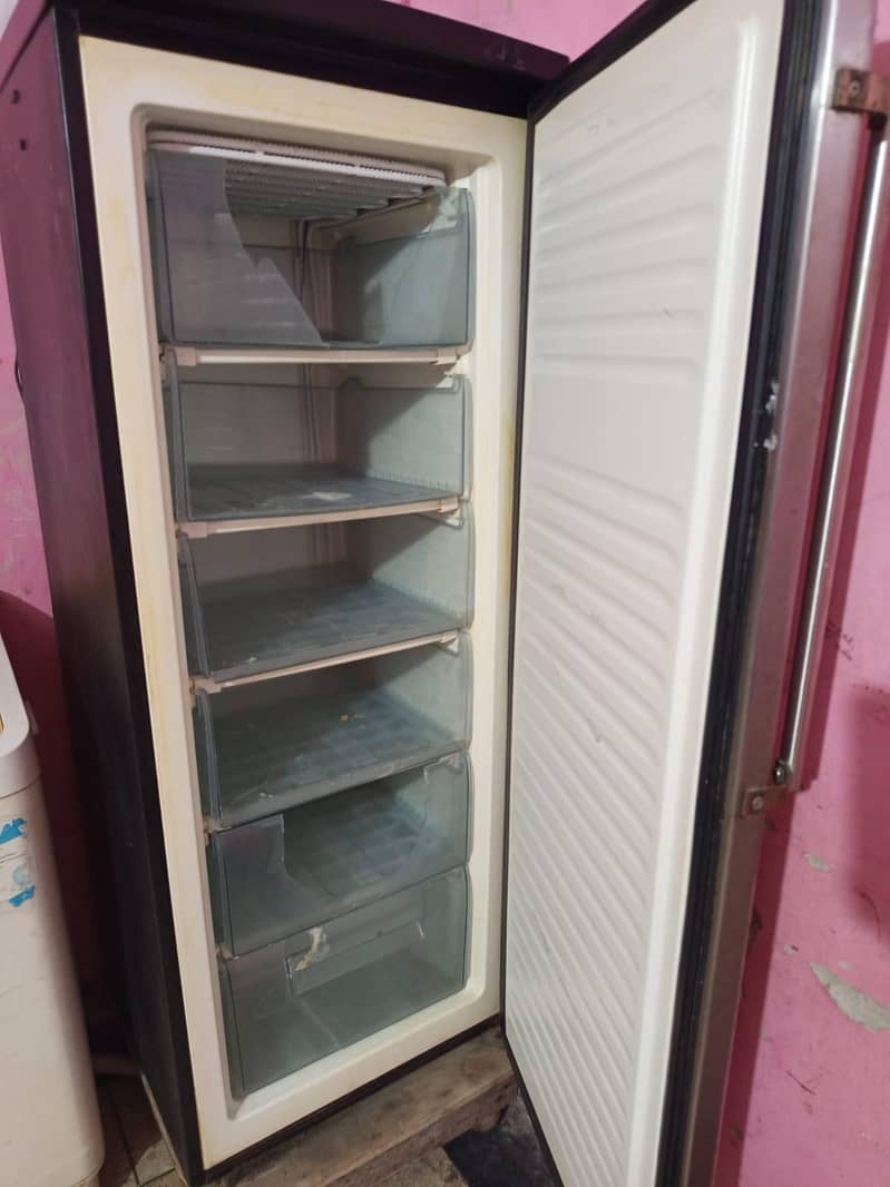 Vertical Freezer 3