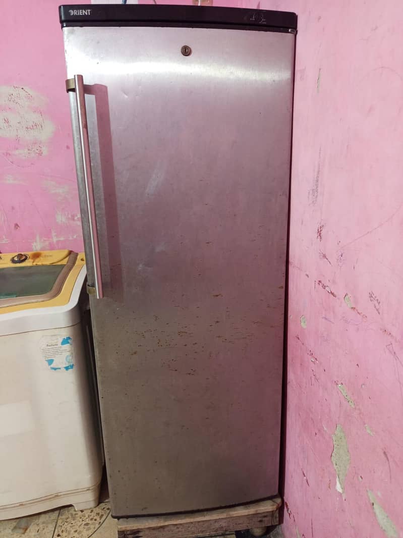 Vertical Freezer 4