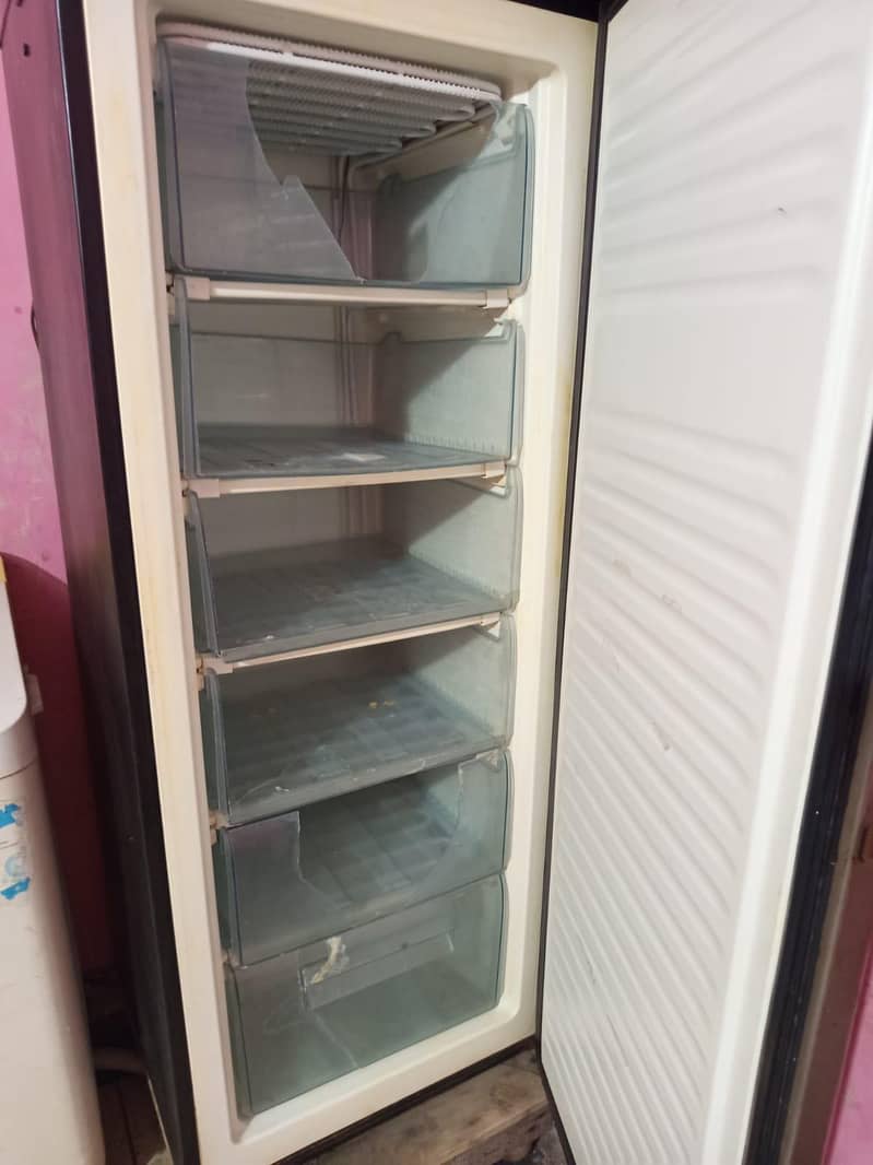 Vertical Freezer 5