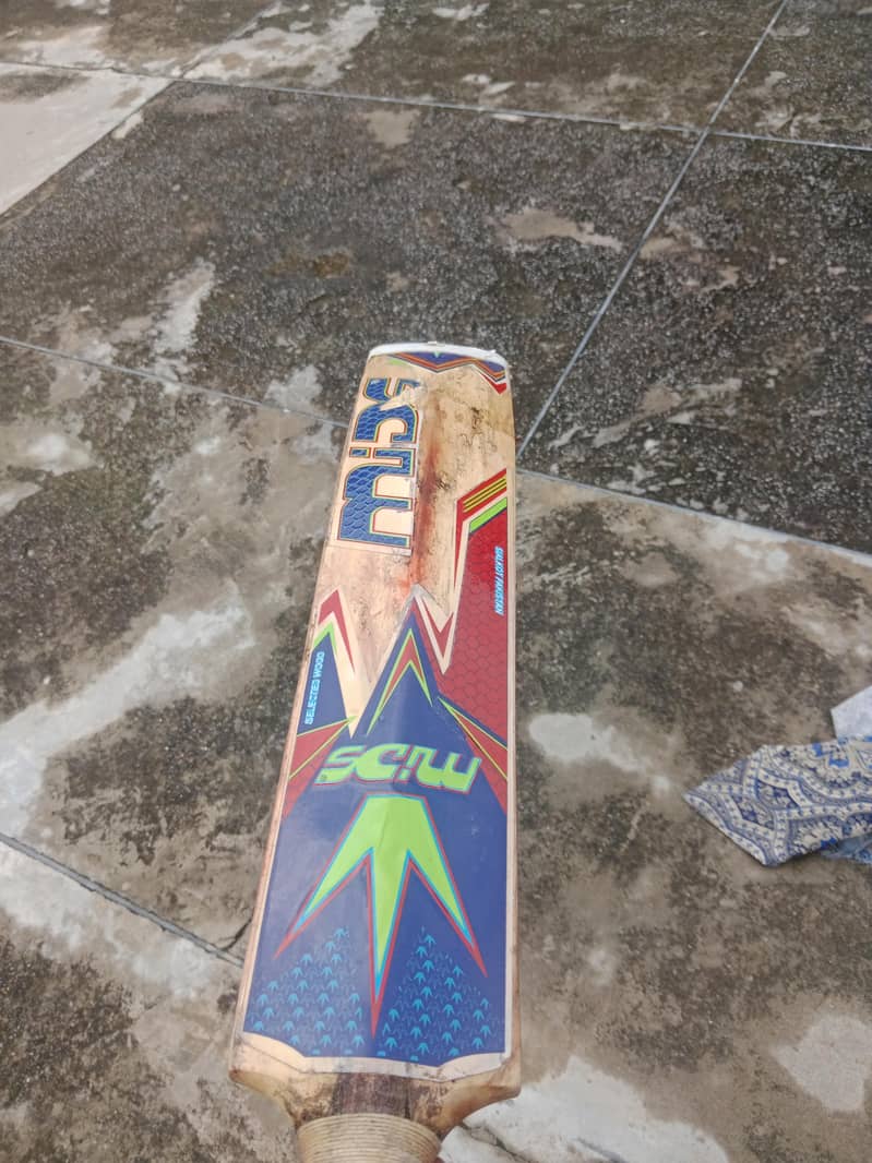 cricket kit 5