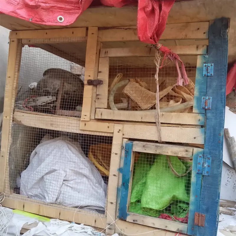 2 Manzil  Bara Pinjra For Sale | Bird / Rabbit / Hen Cage also rabbits — photo 5