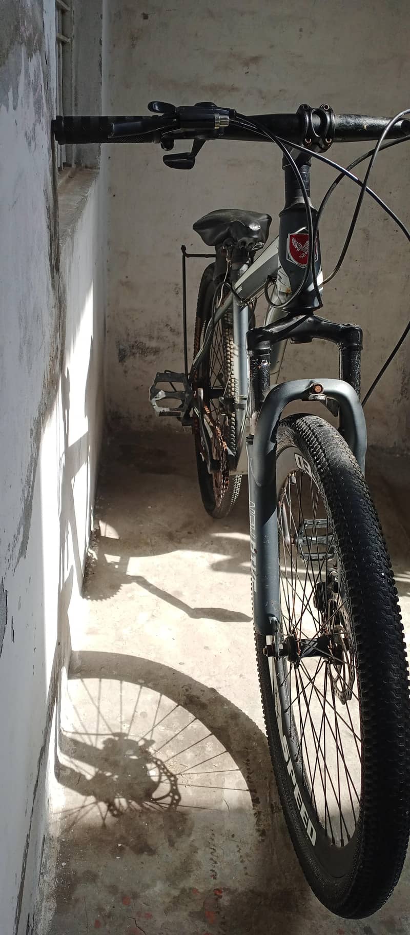 MTB cycle 2