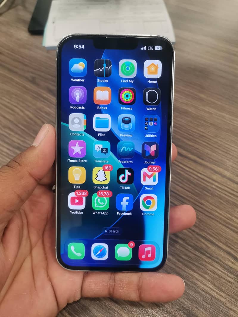 13 pro 1