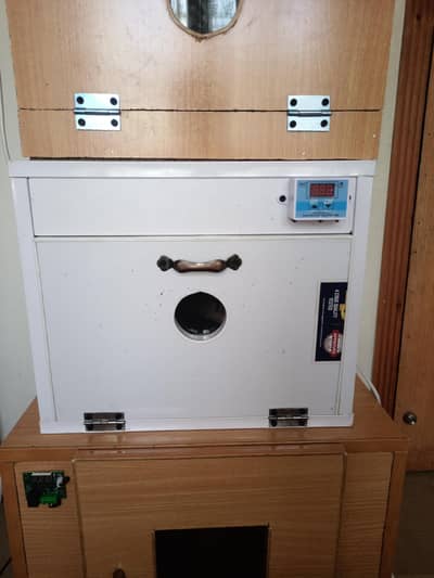 manual & automatic incubator, brooder 30, 60, 80, 120,240,300,500 eggs
