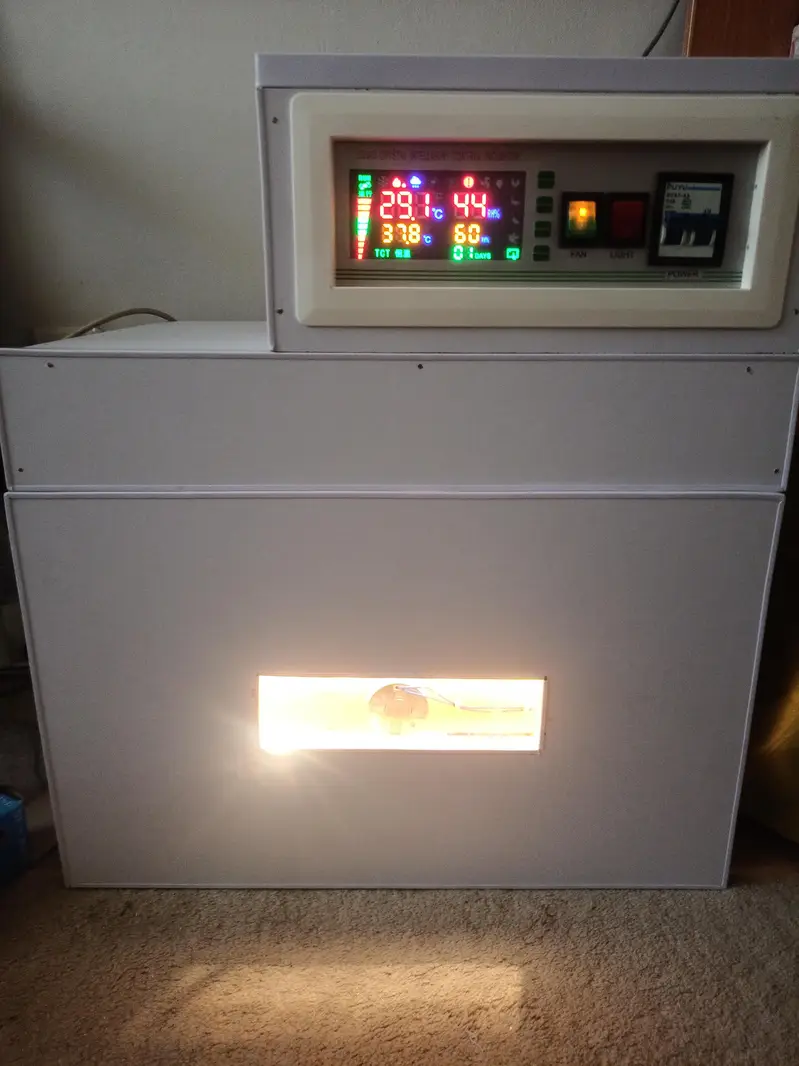 manual & automatic incubator, brooder 30, 60, 80, 120,240,300,500 eggs — photo 10