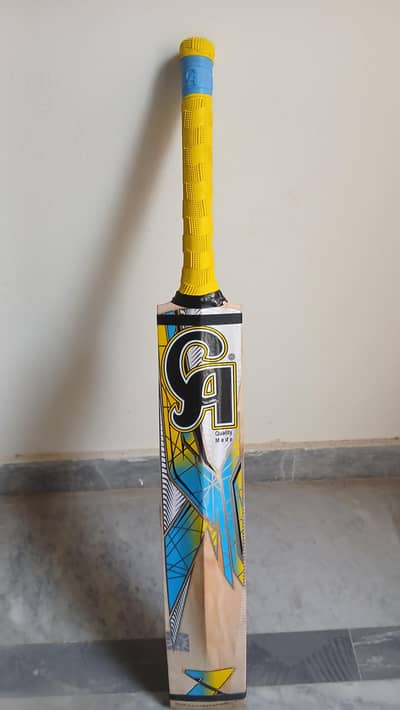 Hard ball cricket bat