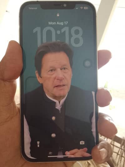 Apple iPhone 12 pro max