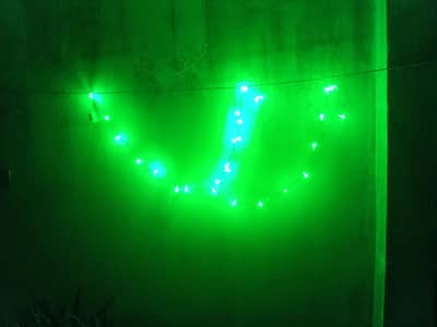 Wedding Lights