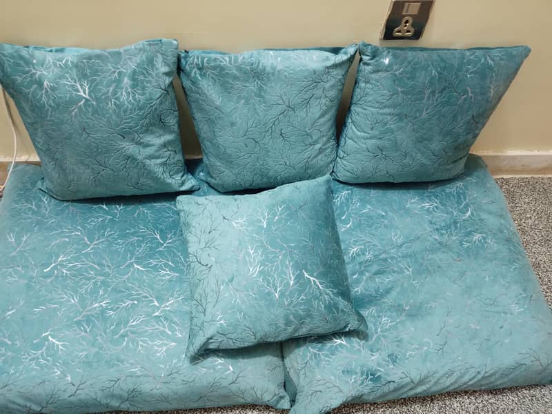 cushions 5