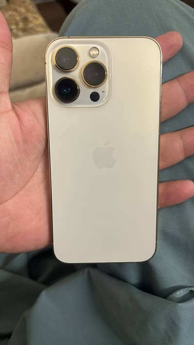 13 pro