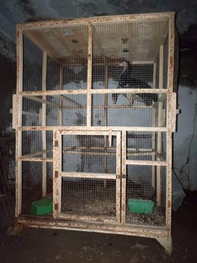 Bird cage
