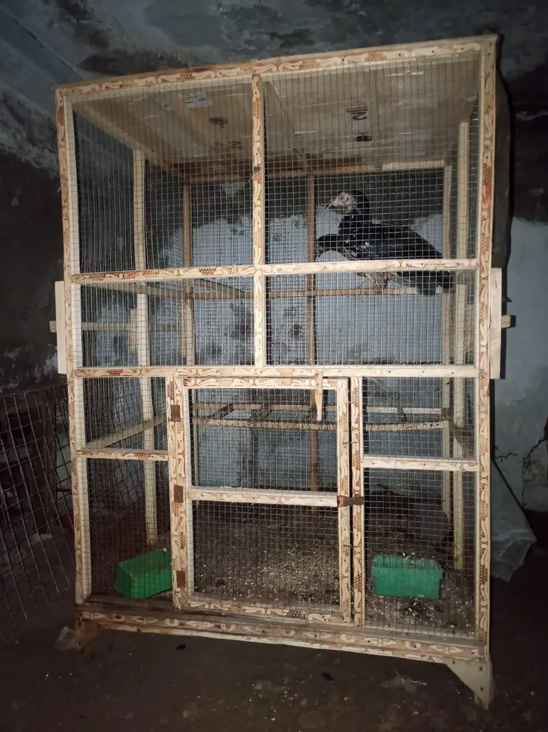 Bird cage — photo 2