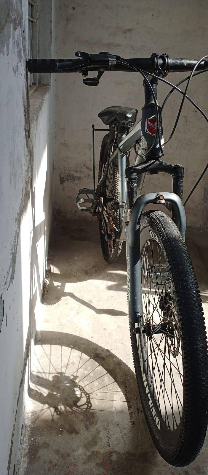 MTB cycle 3
