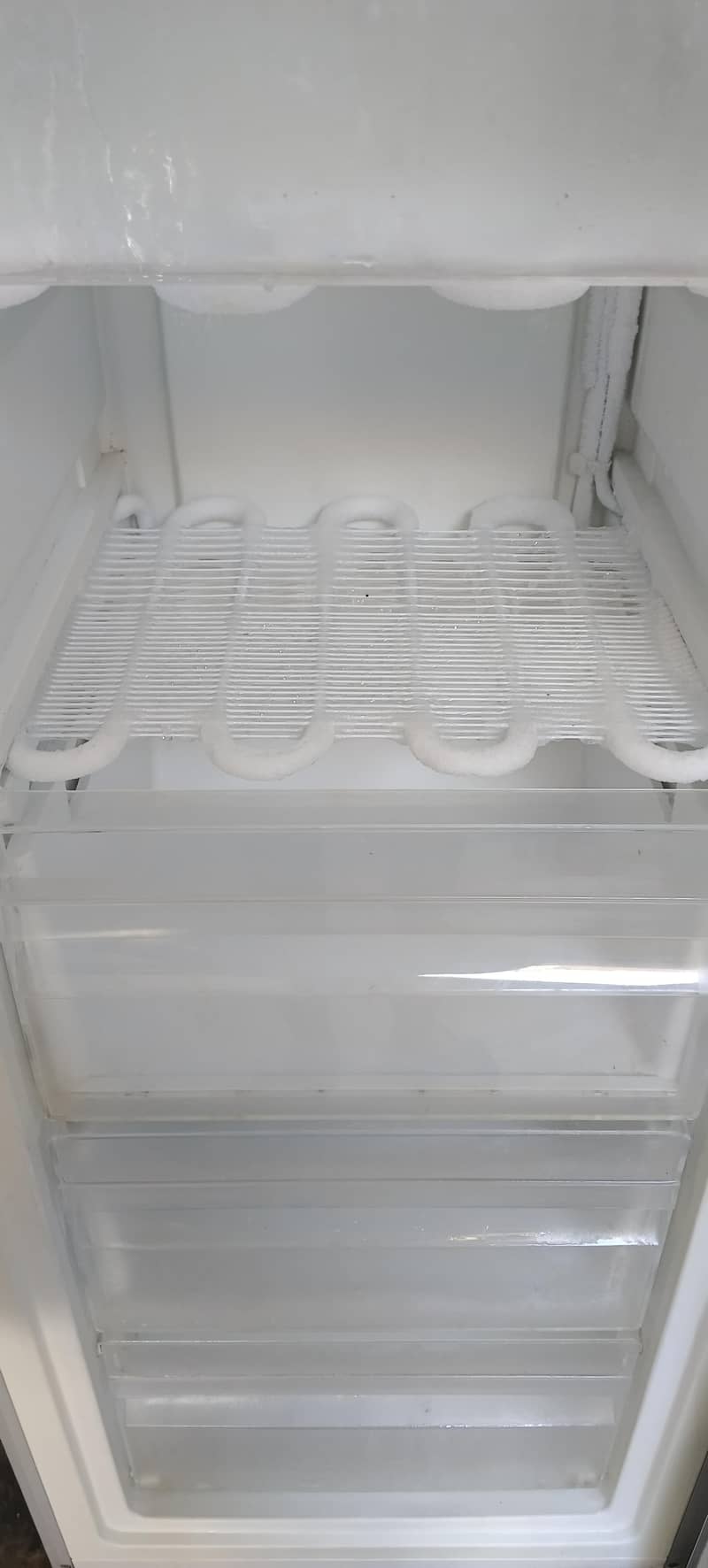 refrigerator 3