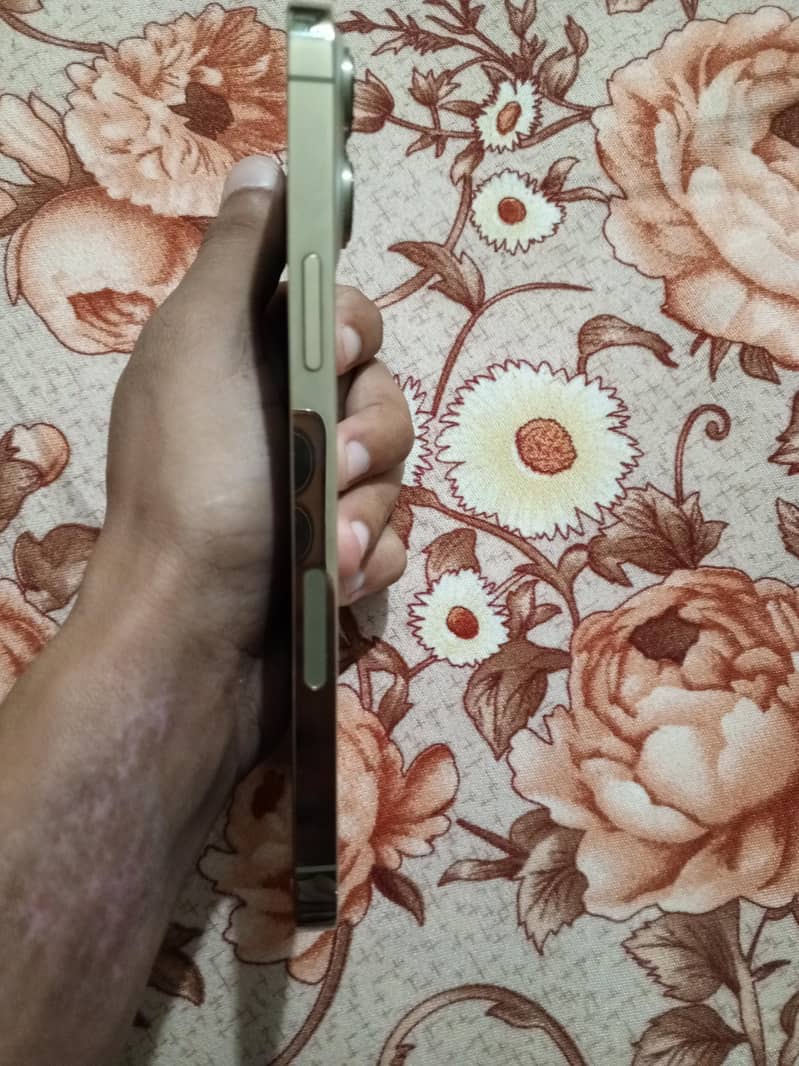 Apple iPhone 13 Pro Max 1
