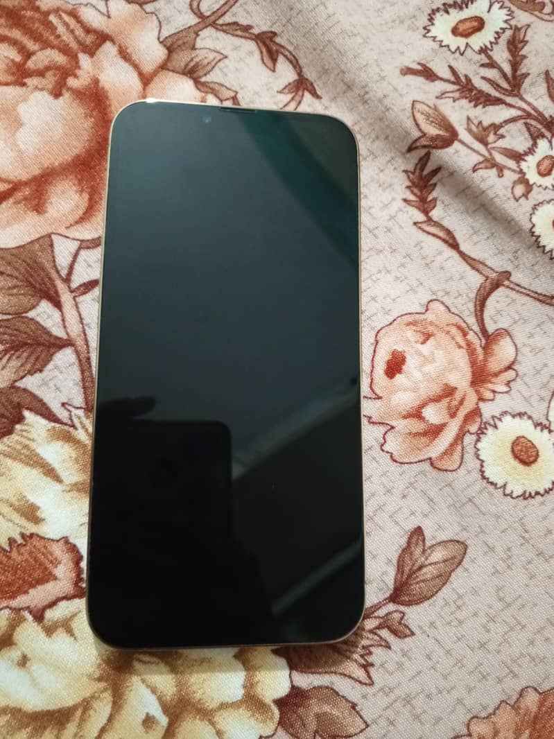 Apple iPhone 13 Pro Max 2