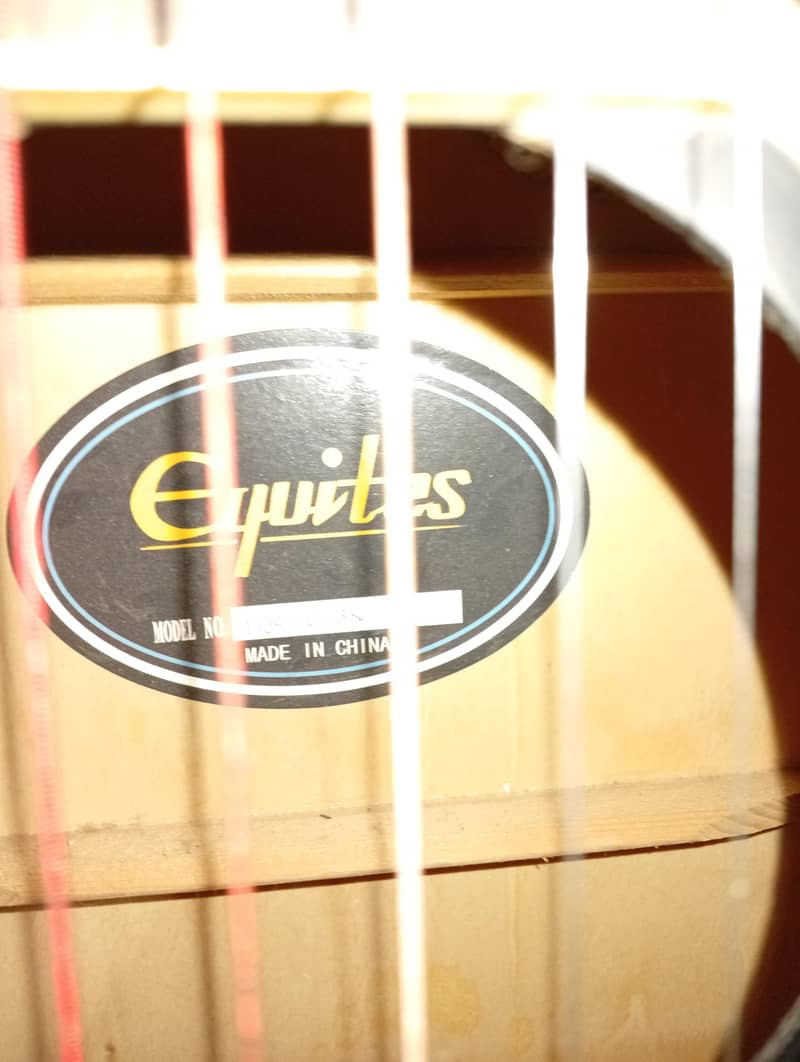 Eyuites Guitar 1