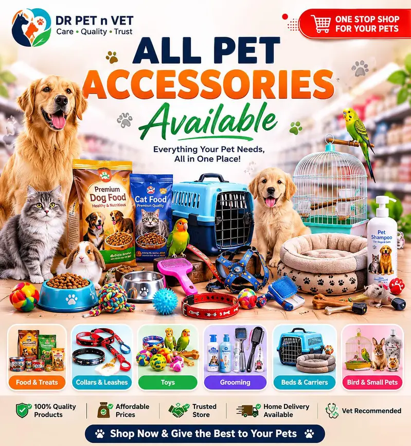 Premium Pet Food for Dogs & Cats – Available in Pakistan 