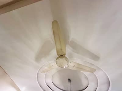 3 Ceiling Fans for Sale – PKR 5,000 Each | Complete Set PKR 15,000