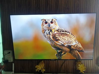 Ecostar 55 inch android led tv