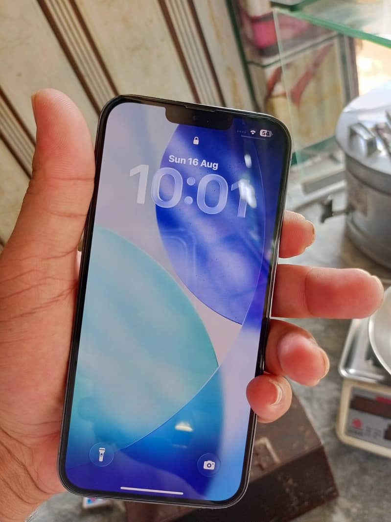 Apple iPhone 13 Pro Max 1