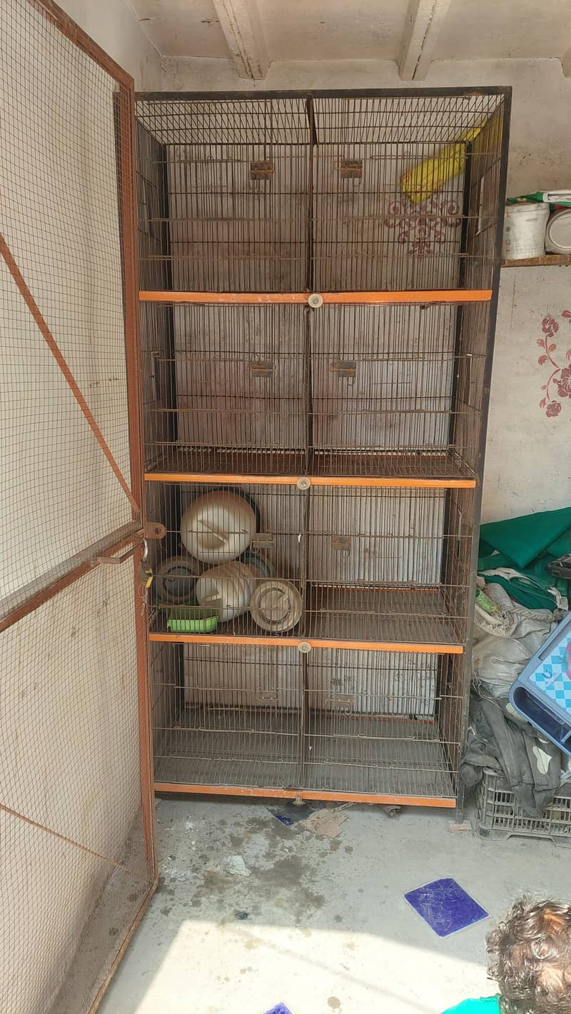 peign cage 0