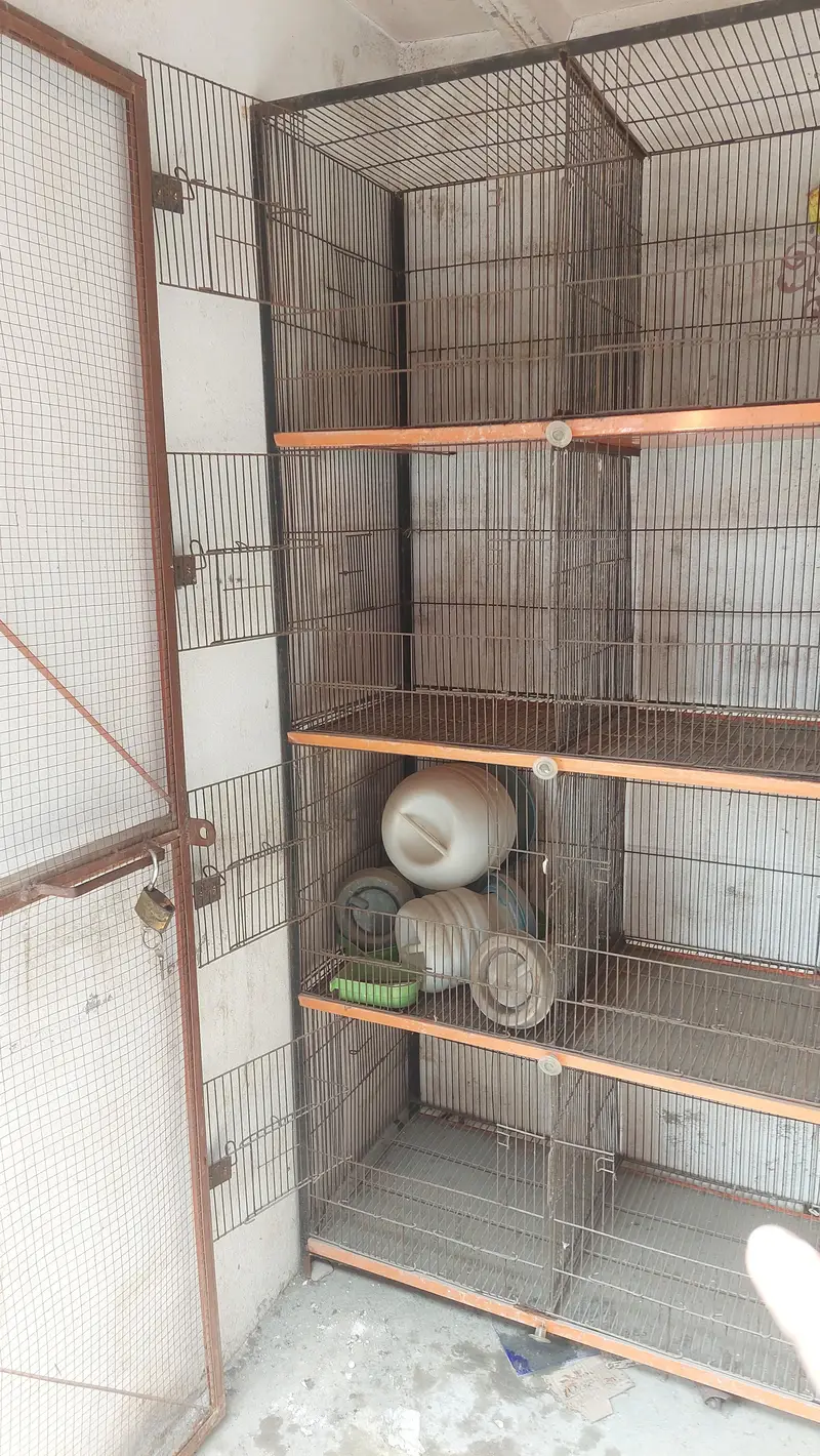 peign cage — photo 2