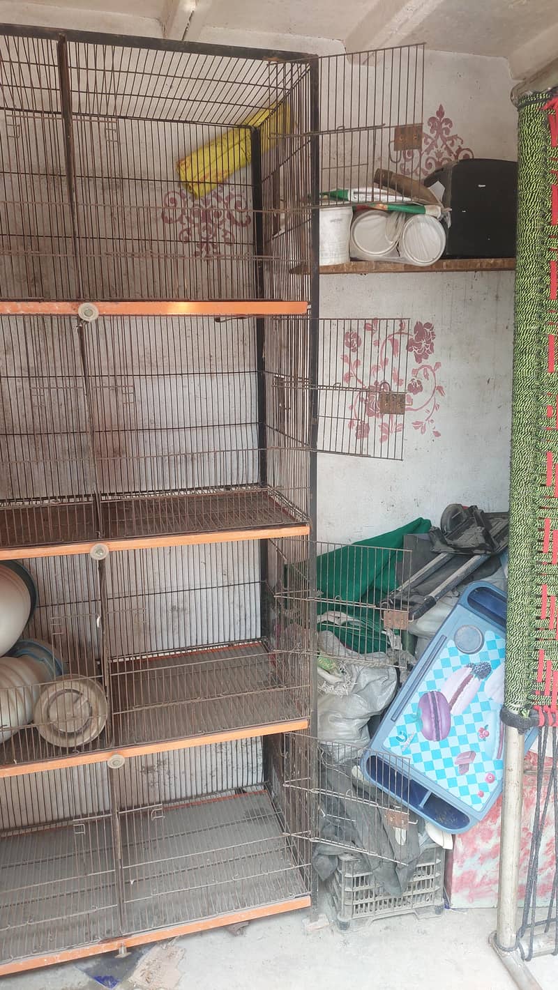 peign cage 2