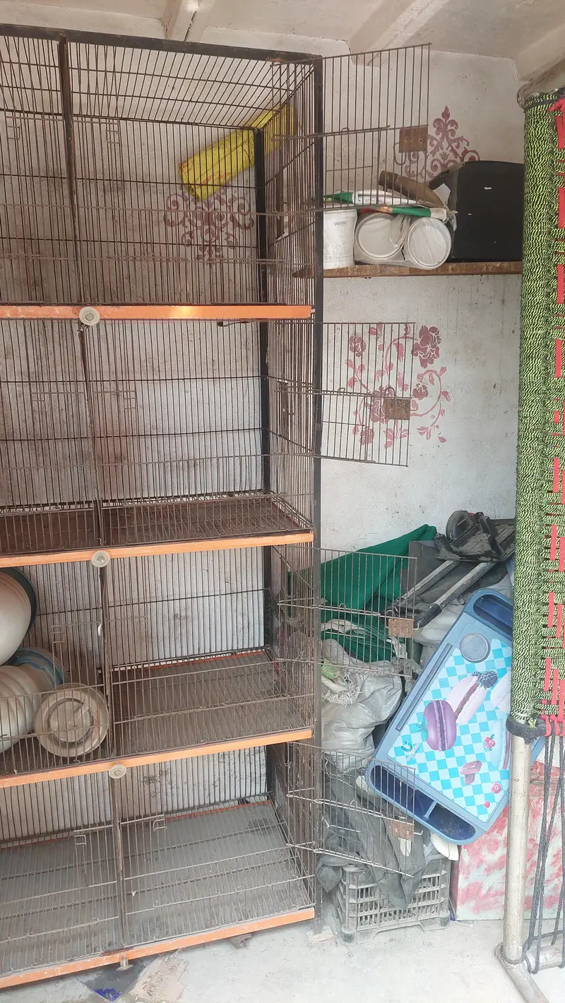 peign cage — photo 3
