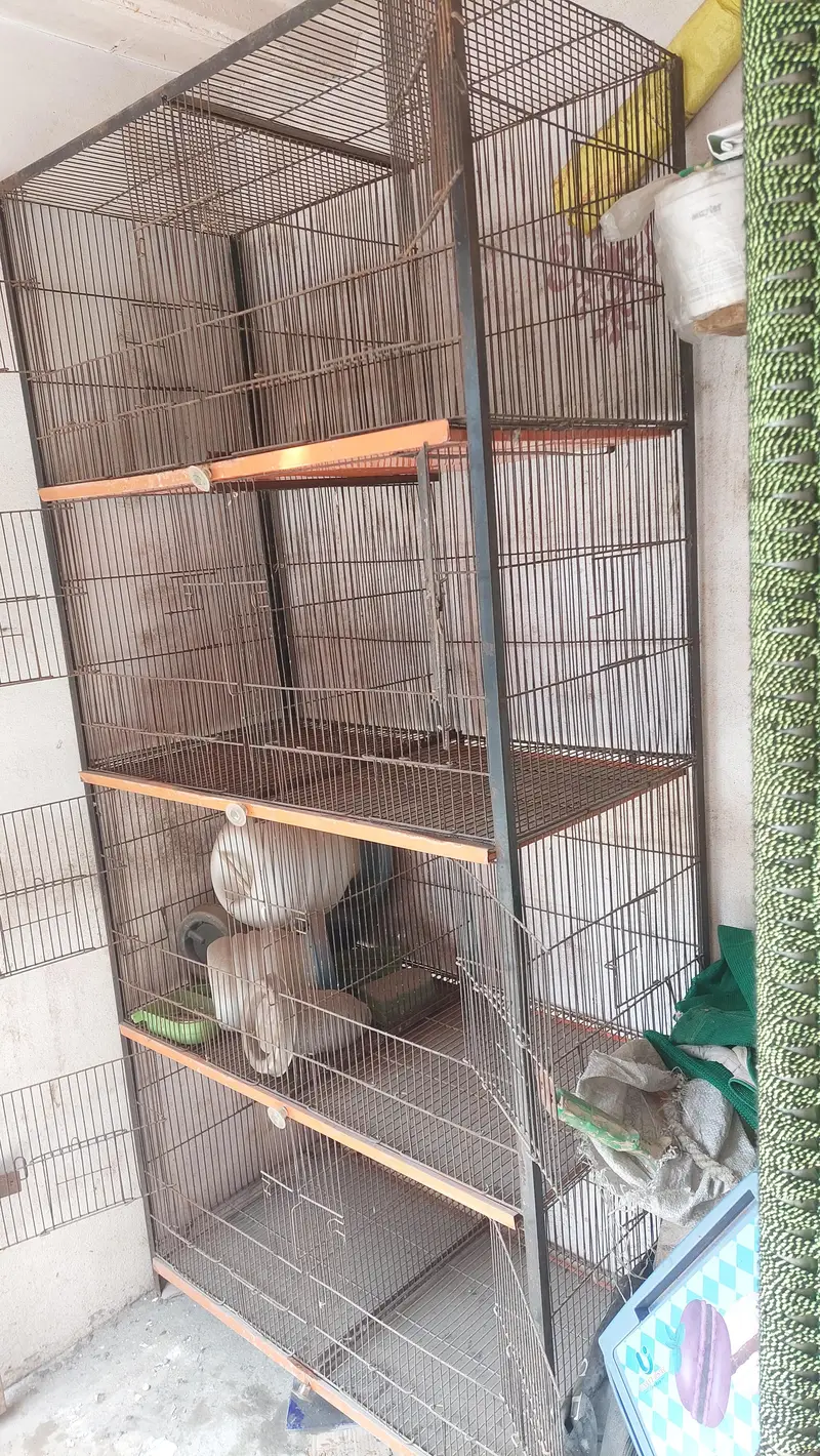 peign cage — photo 4