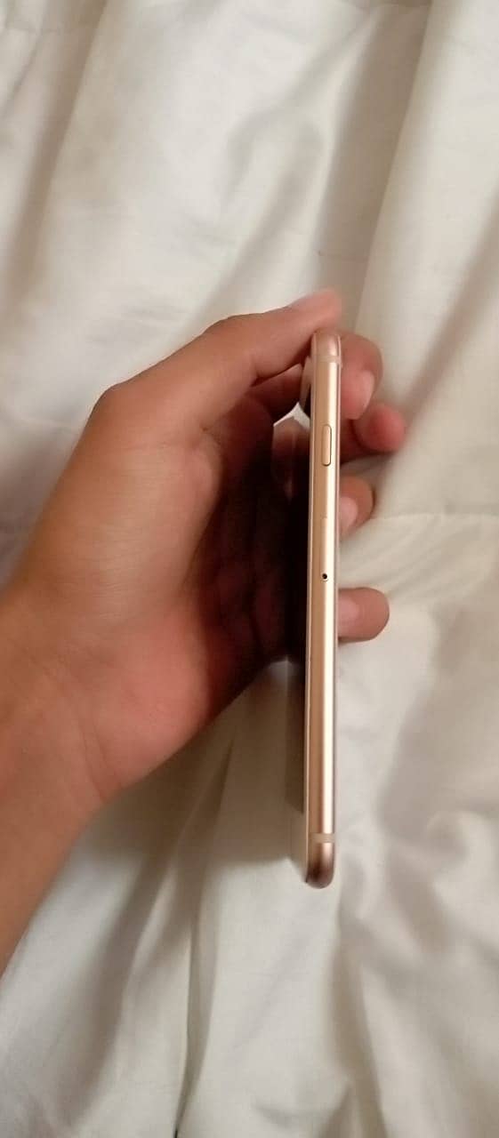 Apple iPhone 8 3