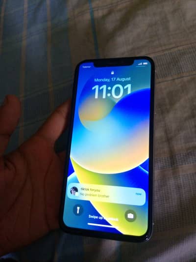 Apple iPhone X