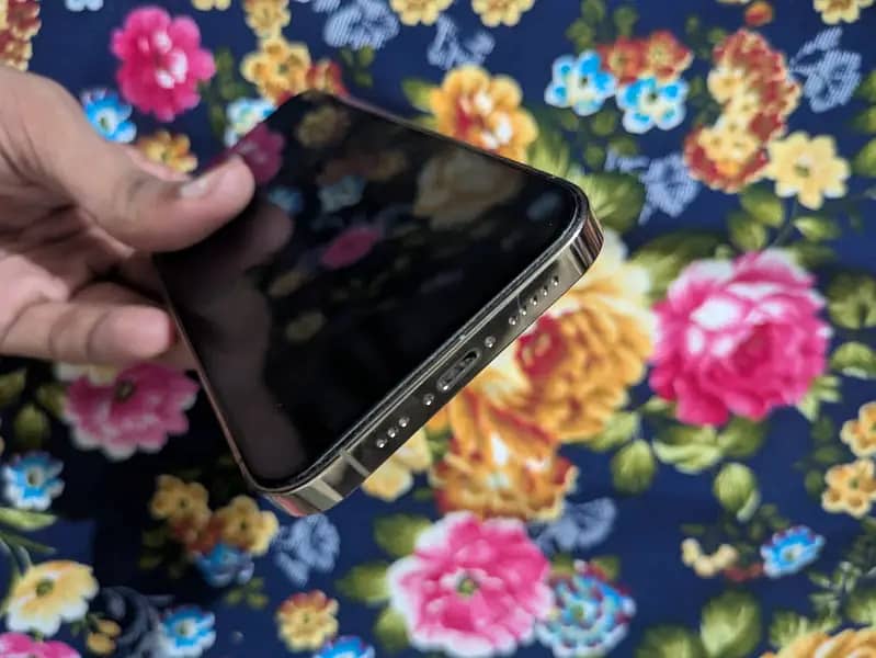 Apple iPhone 13 Pro 4