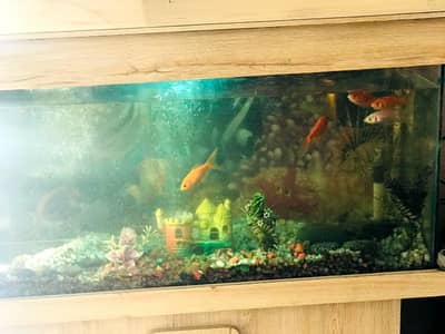 aquarium and fish urgent sal filter+heater+oxygen filter03125829417