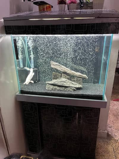 2 Feet Aquarium For Sale