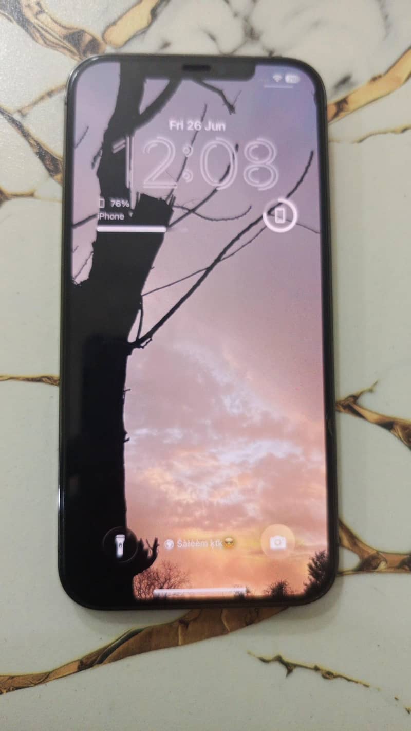Apple iPhone 12 Pro Max 0
