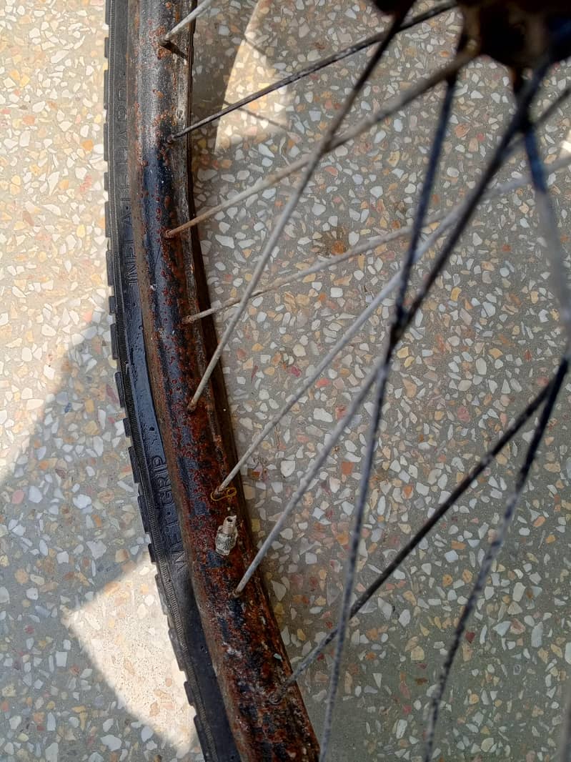 Cycle all ok 7