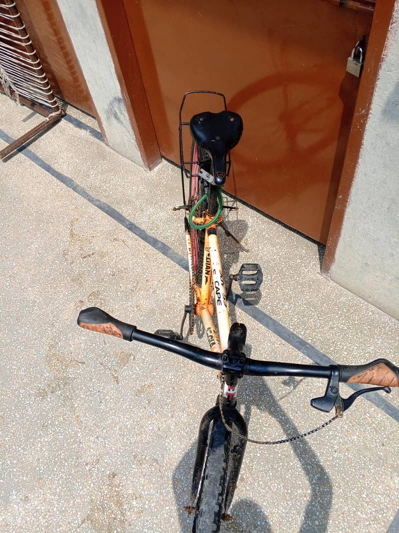 Cycle all ok 11