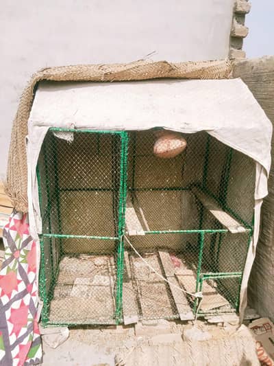 Parrort Cage