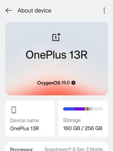 One Plus 13R