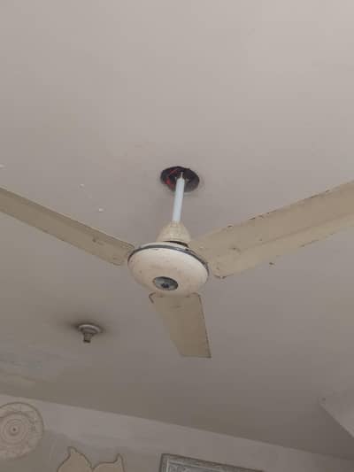 electric fan