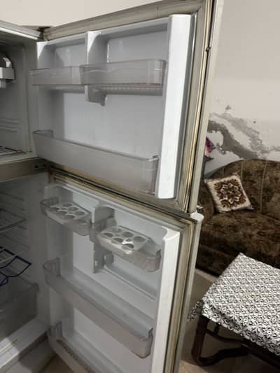 Waves Refrigerators