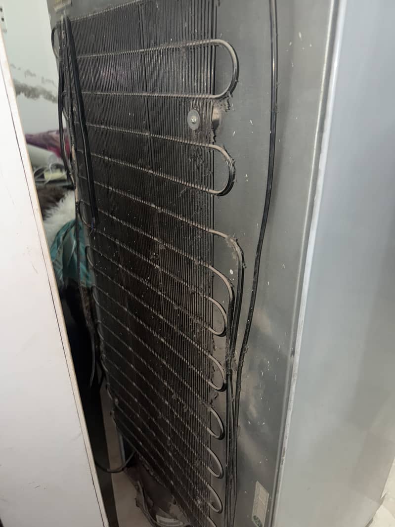 Waves Refrigerators 1