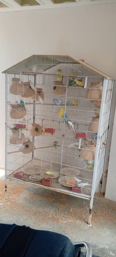 sale buggies with cage