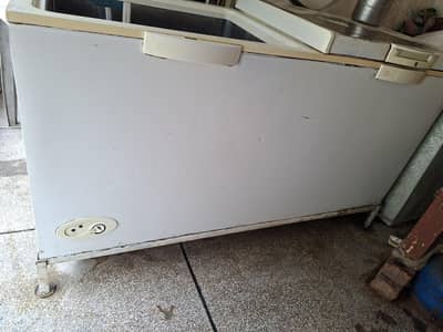 dobel door hair freezer acha condesion 10/9